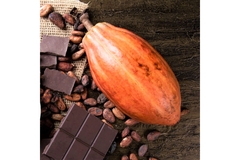 Image A chocolate bar next to a cacao fruit.
