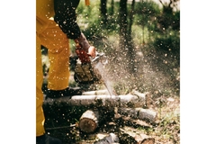 Image Cutting trees in forest.