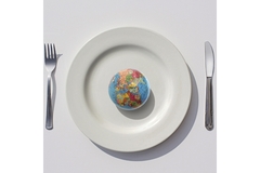 Image World map on a plate