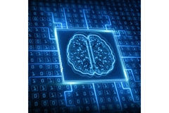 Image Computer model of the brain