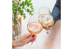Image Two hands holding white wine glasses.
