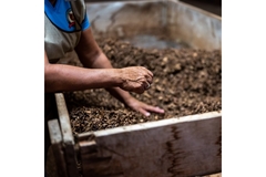 Image Compost.