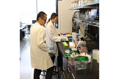 Researchers at UC Davis in a lab.