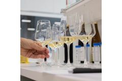 Image Wine glasses with liquid inside.