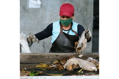 Image Worker sorting waste on conveyor belt.