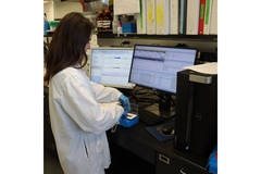 Researcher at UC Davis looking into health benefits of grape marc.