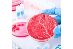 Hand holding a petri dish with cultivated meat.