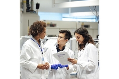 Image Researchers discussing micronutrient deficiencies.
