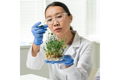 Image Scientist R&D Food Science Research
