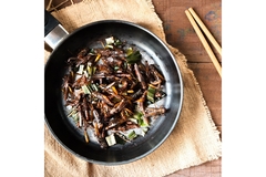 Insects on a black frying pan.