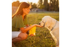 Image A woman feeding a dog with her hands.