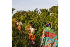Image African woman walking outside.
