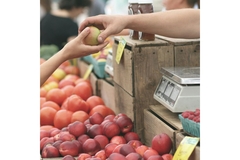 Image Organic market IFOAM
