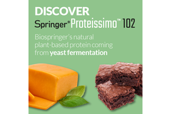 Biospringer Technical Paper