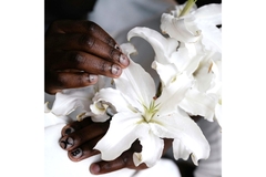 A white French lily behind held.