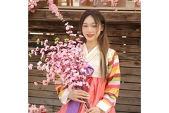 Image Korean woman in Hanbok holding cherry blossoms