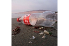 Image Empty coca-cola bottle on beach.