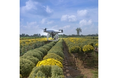 Image Drone flying over a crop field.