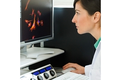 Woman sitting behind a computer, working with AI.