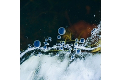 water and bubbles
