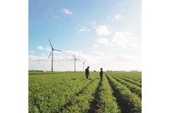 Image Wind turbines.