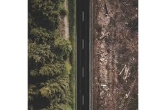 Image Deforestation EU