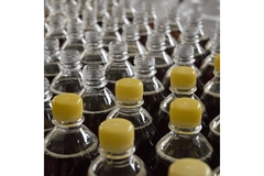 Plastic bottles.