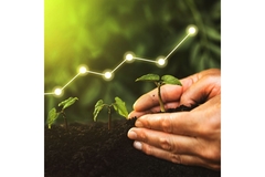 Image Hands holding a growing plant as a graph shows an upward trend.