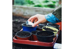 Image A farmer handles seeds.