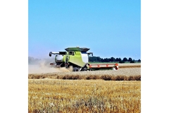 Image Grain farms.