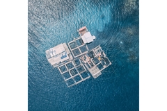 Image A ship in the ocean viewed from above.