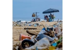 Image Ocean plastic on the beach