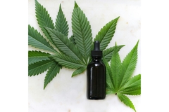 Image Weed plants behind a CBD oil.