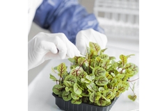 Image A laboratory.