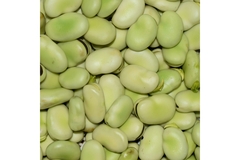 Image Fava beans.