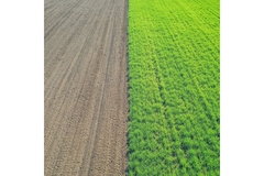 Image Regenerative agriculture.
