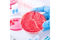 Cultivated meat