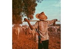 GZ Food security