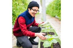 Image Man tends to food crops