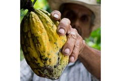 Image A cocoa farmer.