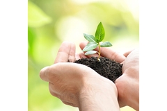 Image Hands holding seedling with soil