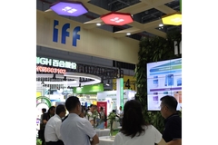 IFF stand and other booths at Hi & Fi China-Asia trade show.
