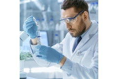 Image Researcher in a lab.