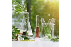 plants in glass lab vials