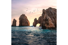 Image The high seas where birds fish