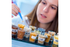 Image A female scientist looking at a grain of legume.