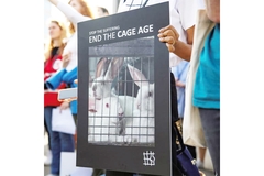 End the Cage Age protest.