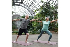 Image Senior man and woman doing yoga in a green house.