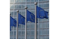 Image EU flags flying