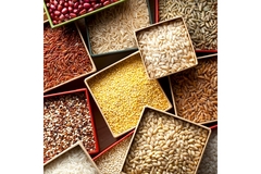 Image varieties of grains in boxes.